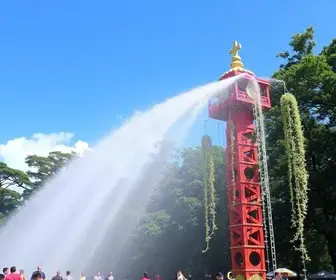 Festival da Primavera 2026
